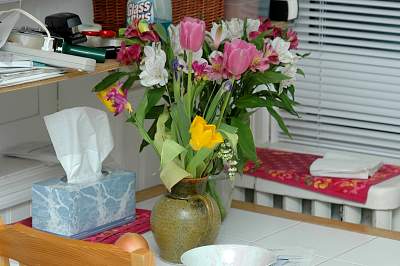 20040414_234656_Nikkor_fixed_85mm_f_5_6.jpg