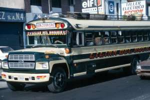 Decorated bus (282.08 Kb)